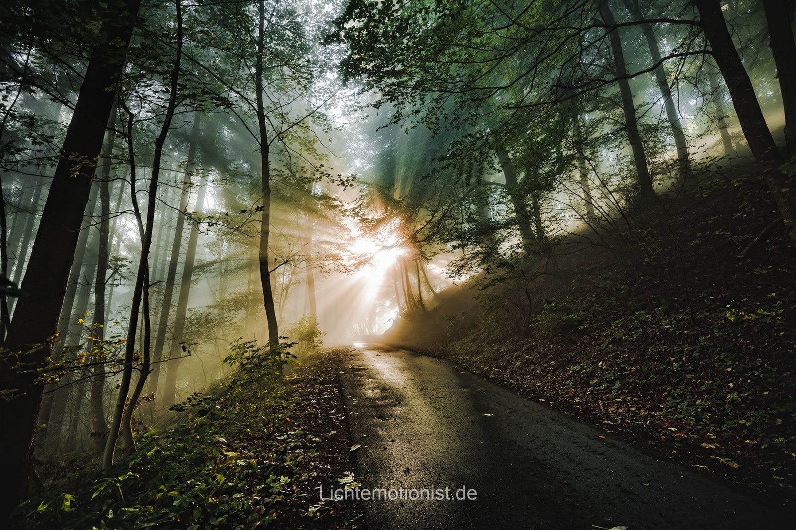 Der richtige Weg, Schwarzwald-Baar