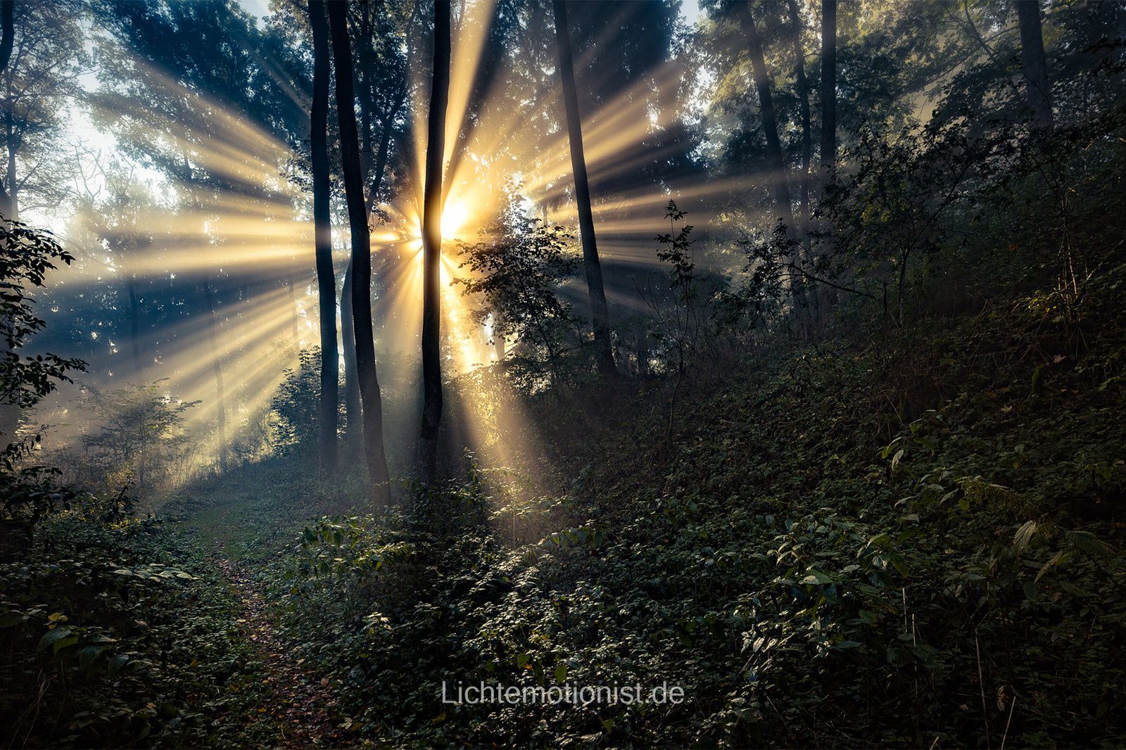 Licht in der Dunkelheit, Schwarzwald-Baar